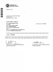 DNA Profil USA