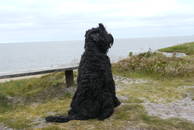 � und von hinten in D�nemark 2010