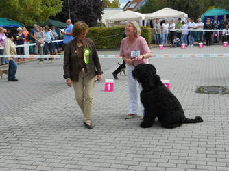 Humor ist, wenn man trotzdem lacht... Richterin Frau