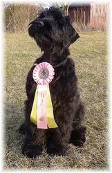 Schaut her � das bin ICH, Zoya, BOB Puppy!