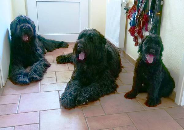 Semjon (10 Jahre), Grom (6 Jahre) und Baby Kris (10 Wochen)