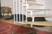 Bobchens und Semmels Lieblingsplatz�