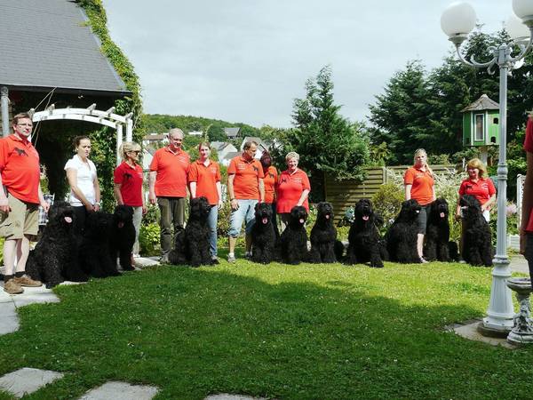 Sieben der insgesamt 8 �Welpen� anl�sslich eines Treffens am 30. Juni 2012 auf dem �Zarenhof� (Ganz links �Opa� Jaros, 6. von links �Oma� Slata, �Papa� Semjon und �Mama� Alexa)