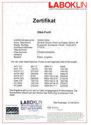 DNA-Profil