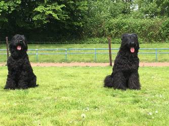 Die beiden Br�der Semjon und Winston an ihrem 8. Geburtstag gemeinsam auf Ausstellung!