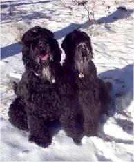 Bobik und Emma