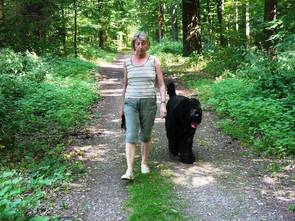 Im Wald und auf der Heide�