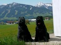 Ramsau/Dachstein, 5/12