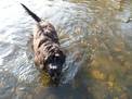 Wasserratte Jule