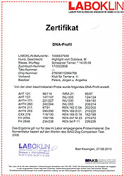 DNA Profil