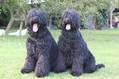 Carlos und Schwester Diva